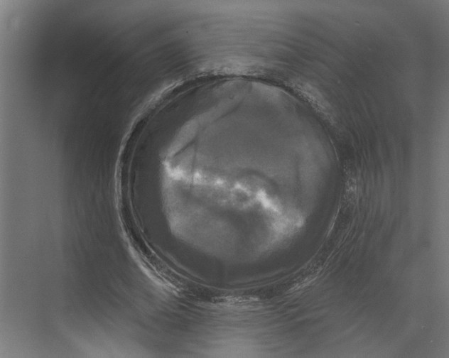 X0000073520678200608281734