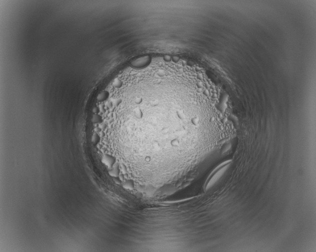 X0000073520679200608281734