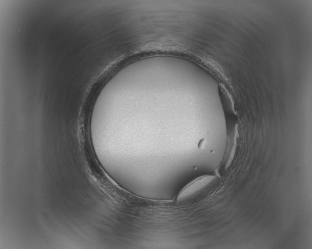 X0000073520680200608281734