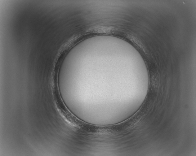 X0000073520682200608281734