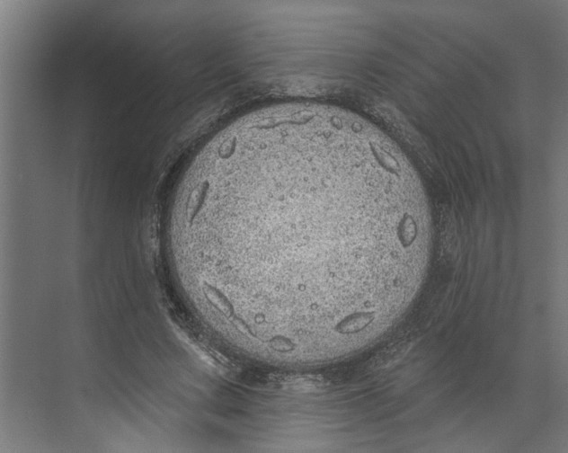 X0000073520683200608281734