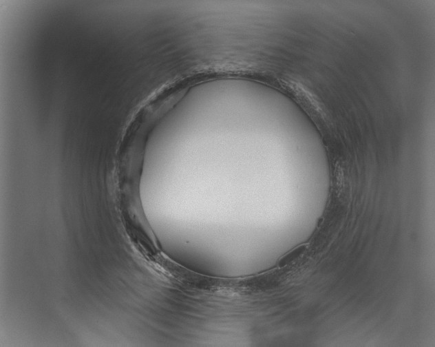 X0000073520684200608281734