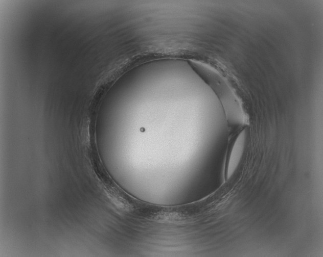 X0000073520685200608281734