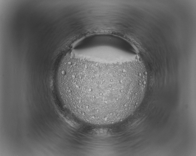 X0000073520687200608281733