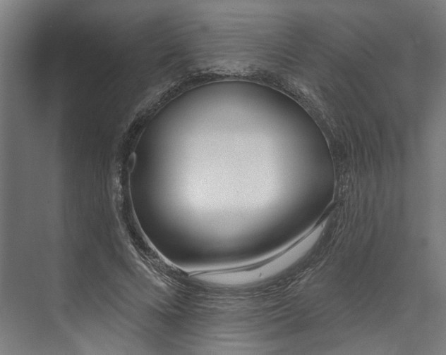 X0000073520688200608281733