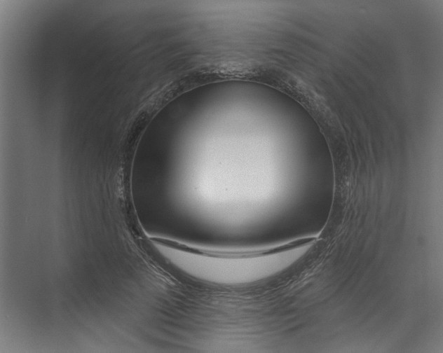 X0000073520689200608281733