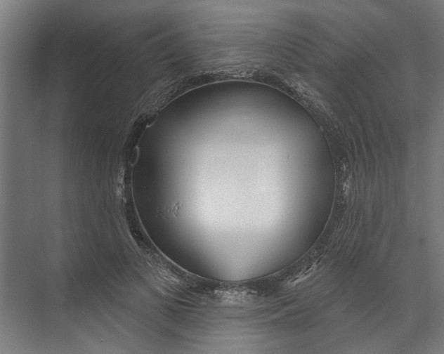 X0000073520693200608281733