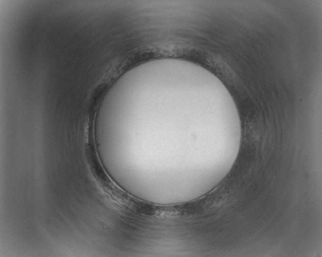 X0000073520694200608281733