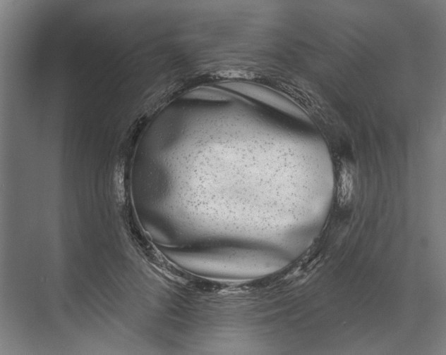 X0000073520696200608281733