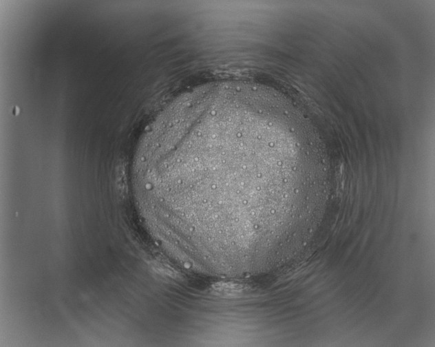 X0000073520699200608281733