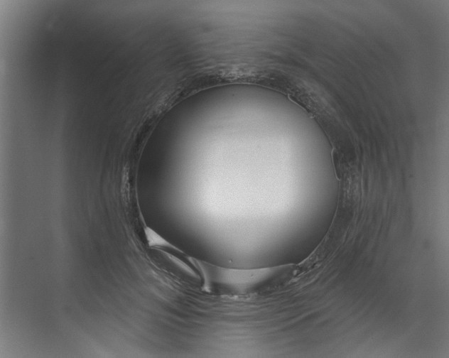 X0000073520700200608281733