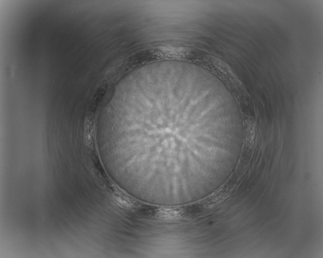 X0000073520701200608281733