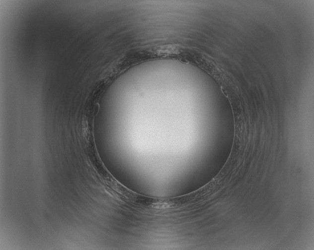 X0000073520704200608281733