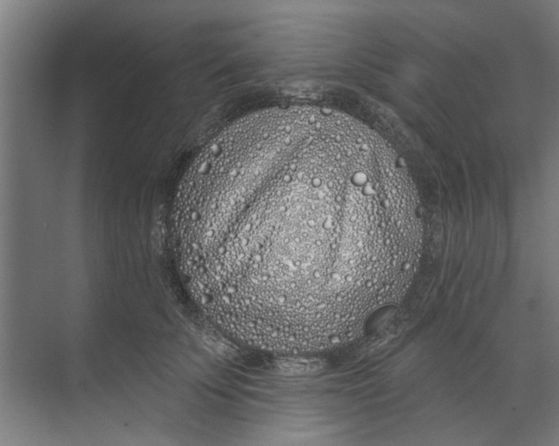 X0000073520707200608281733