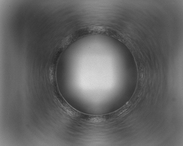 X0000073520708200608281733