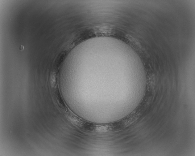 X0000073520709200608281733