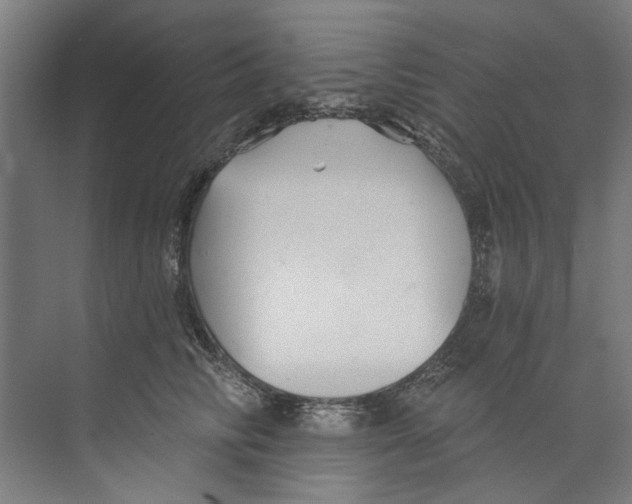 X0000073520710200608281733