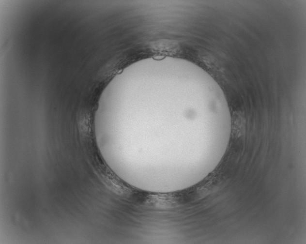 X0000073520713200608281733