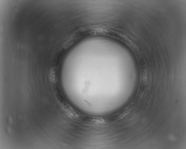 X0000073520715200608281733