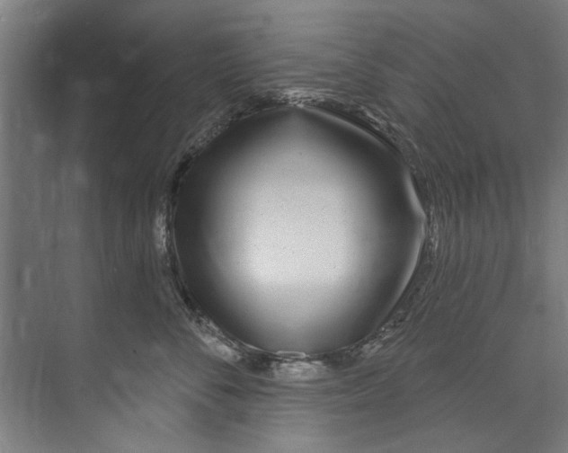 X0000073520716200608281733