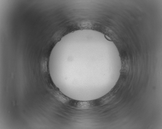 X0000073520717200608281733