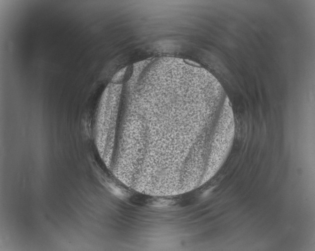 X0000073520718200608281733