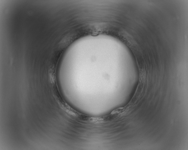 X0000073520719200608281733