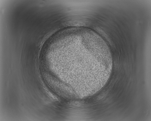 X0000073520721200608281732