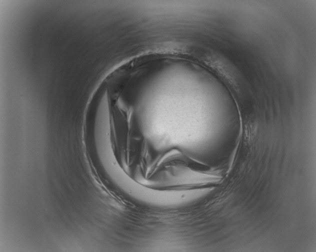 X0000073520724200608281732