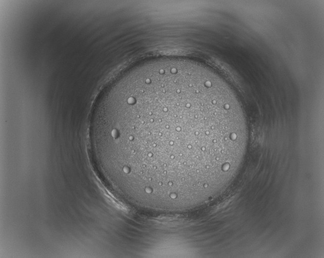 X0000073520725200608281732