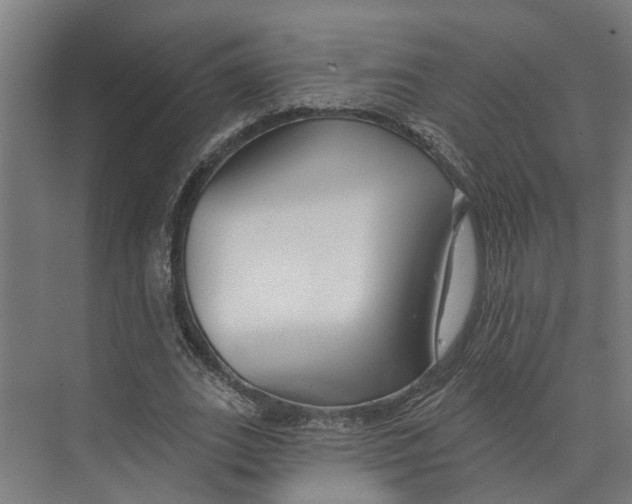 X0000073520727200608281732