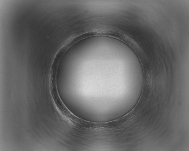 X0000073520730200608281732