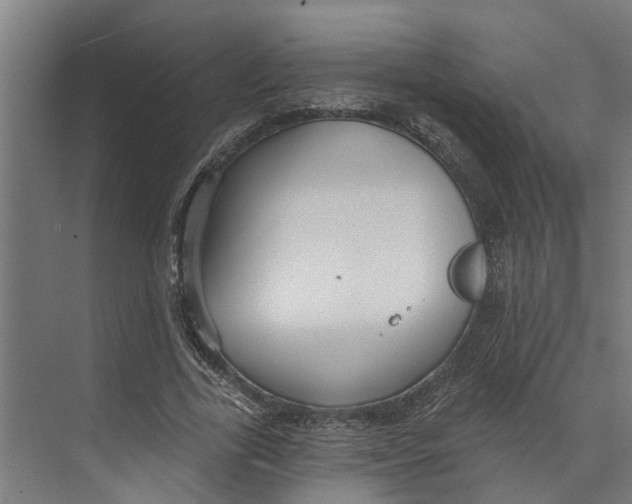 X0000073520731200608281732