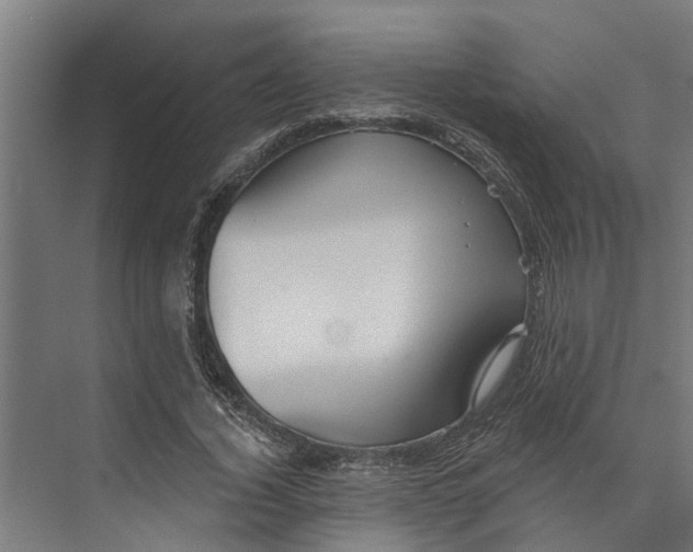 X0000073520732200608281732