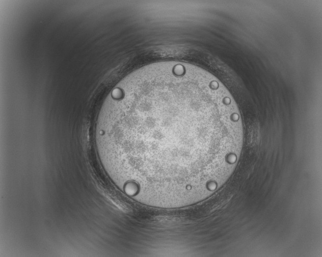 X0000073520733200608281732