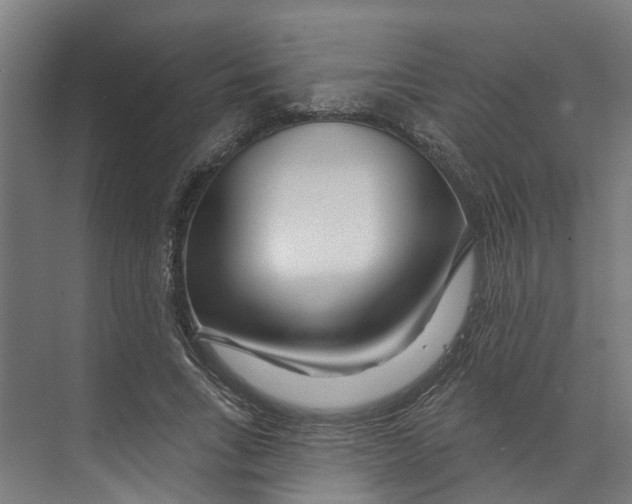 X0000073520735200608281732