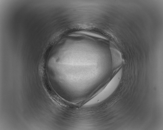 X0000073520736200608281732