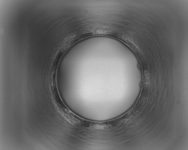 X0000073520738200608281732