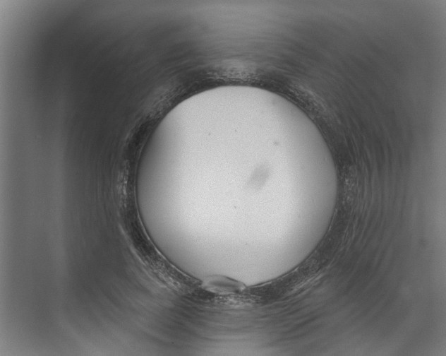 X0000073520739200608281732