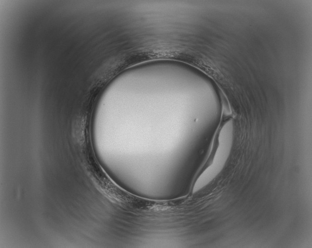 X0000073520742200608281732