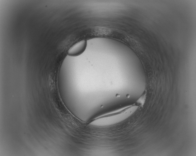 X0000073520743200608281733