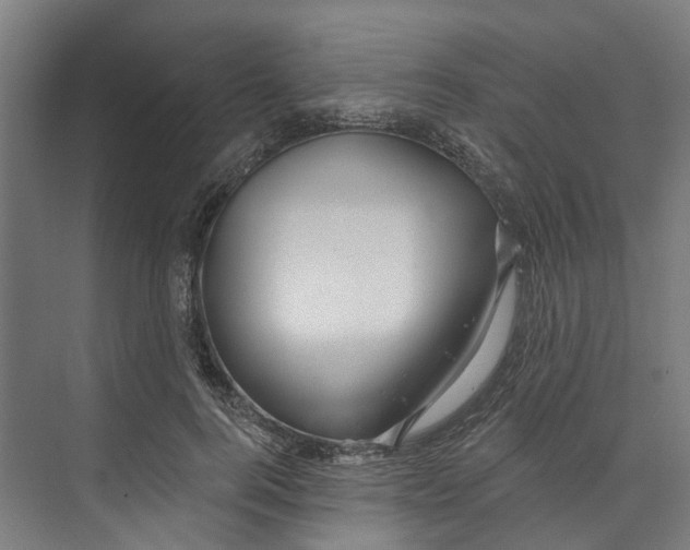 X0000073520744200608281733