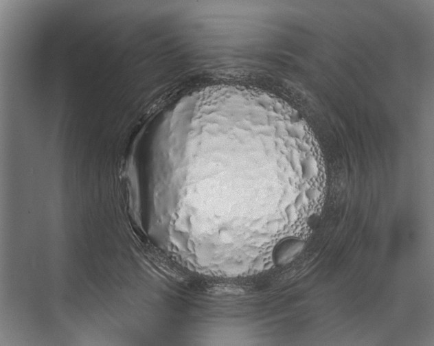 X0000073520749200608281733