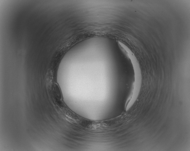 X0000073520752200608281733