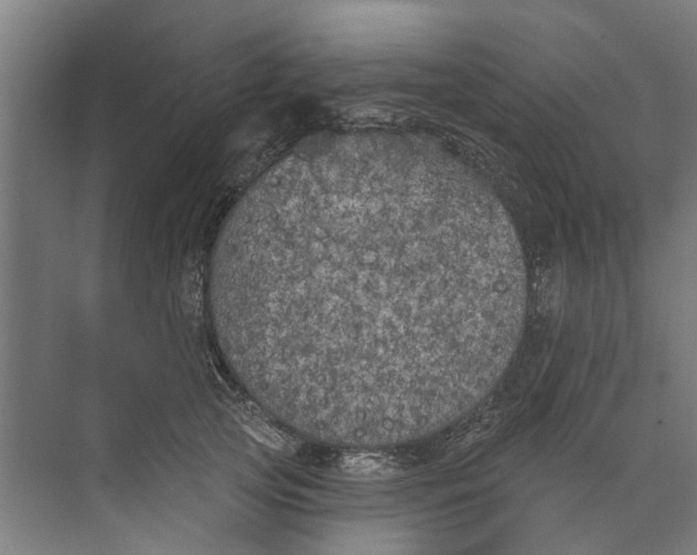 X0000073520753200608281733