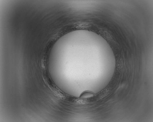 X0000073520755200608281733