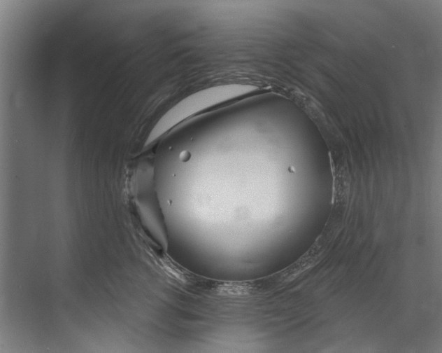 X0000073520762200608281733