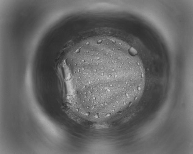 X0000073520765200608281733