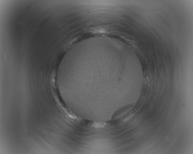 X0000073520767200608281733