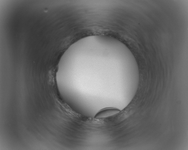 X0000073520768200608281733